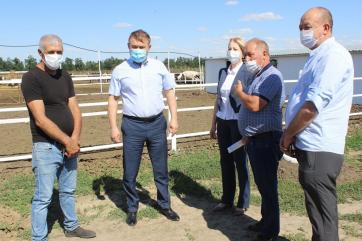 Донские власти помогут со сбытом фермерам и кооперативам